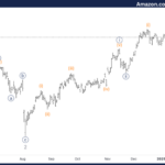 Amazon Inc. Stocks Elliott Wave Technical Analysis – Monday, January 20