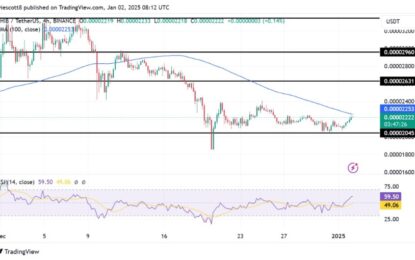 Shiba Inu Targets Fresh Highs As SHIB Undergo A Rebound At $0.00002045